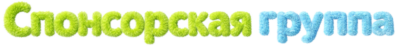 Спонсорская группа